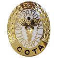Pin - Professional Emblem
