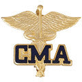 Pin - Professional Emblem