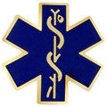 Pin - Professional Emblem