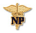 Pin - Professional Emblem